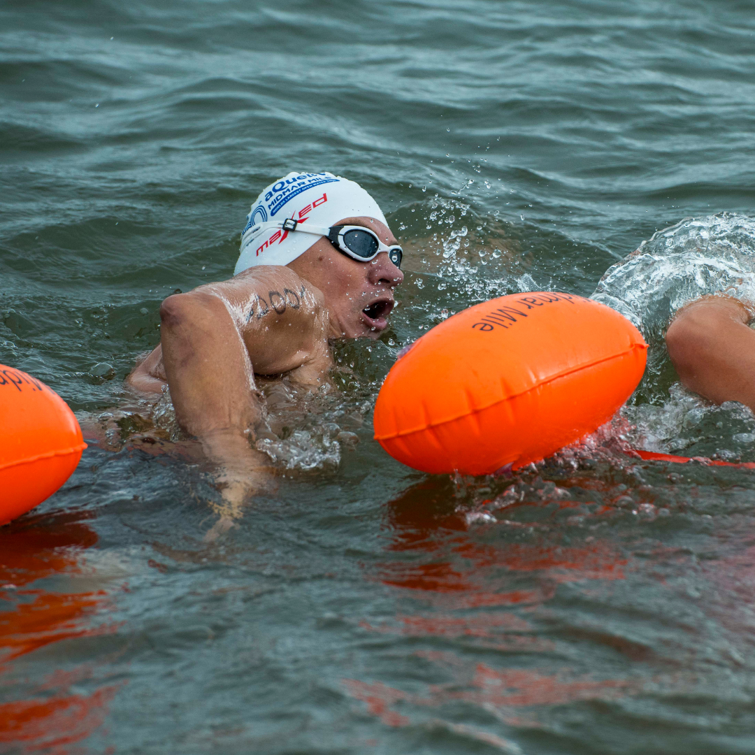 Swimming competing in the Midmar Mile