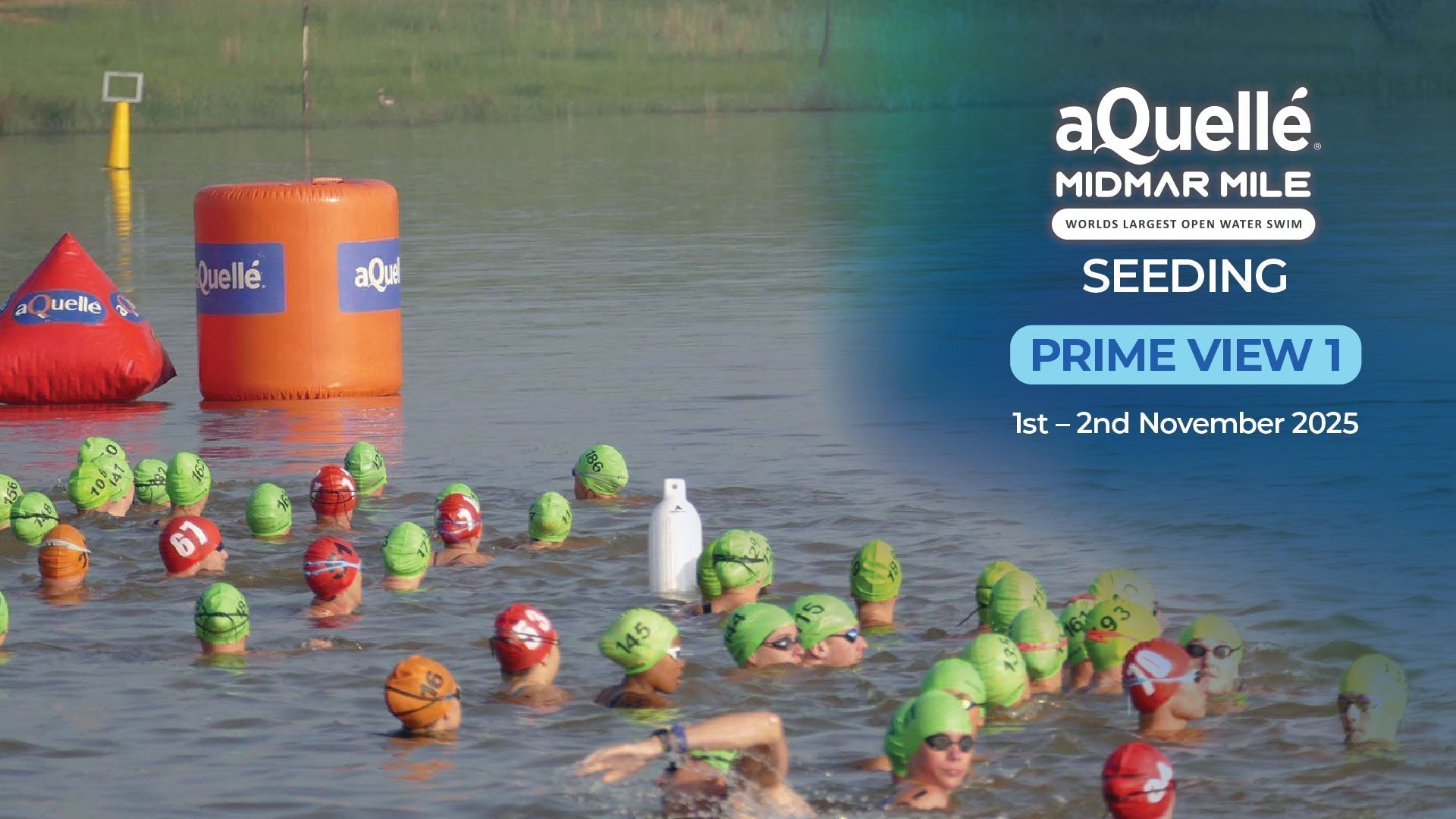 Prime View aQuelle Seeding Swim 1 | Race Day Information