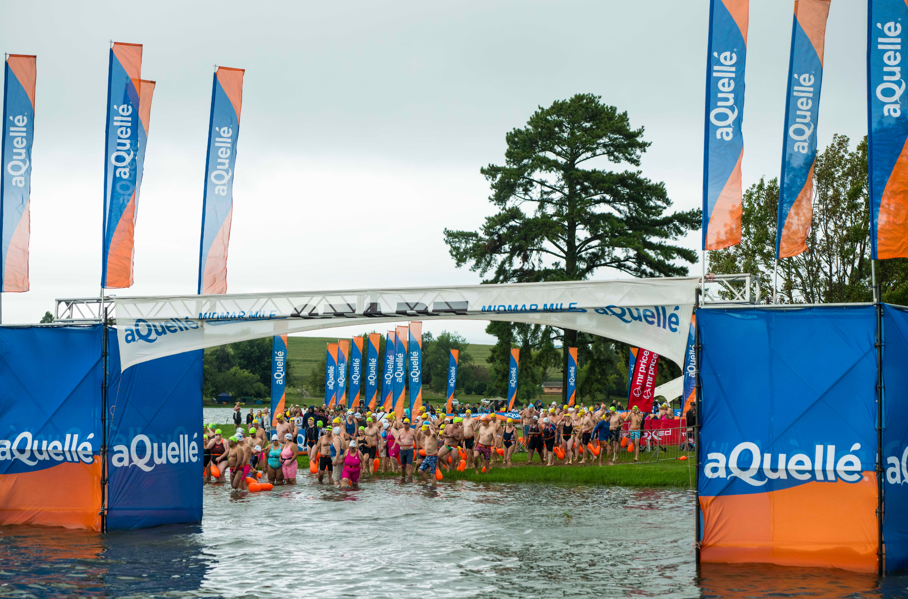 Early Bird entries open for 2025 aQuellé Midmar Mile